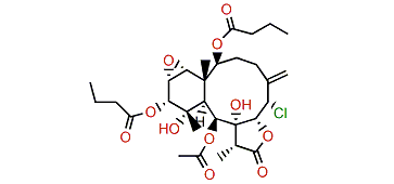 3,4-Dihydro-11-hydroxybrianthein V